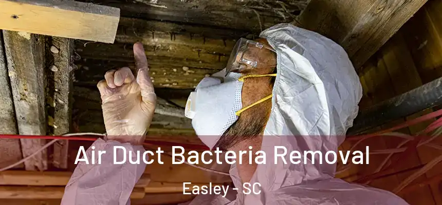  Air Duct Bacteria Removal Easley - SC