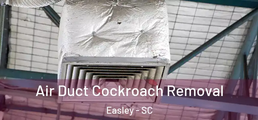  Air Duct Cockroach Removal Easley - SC