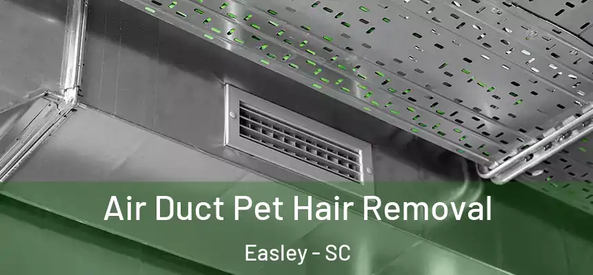  Air Duct Pet Hair Removal Easley - SC