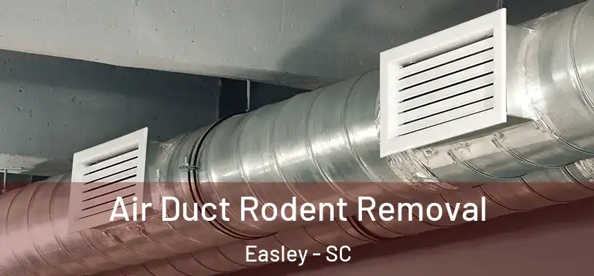 Air Duct Rodent Removal Easley - SC