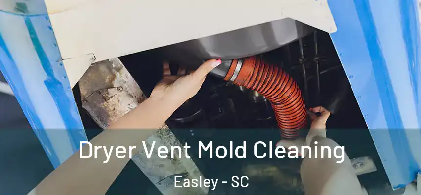 Dryer Vent Mold Cleaning Easley - SC
