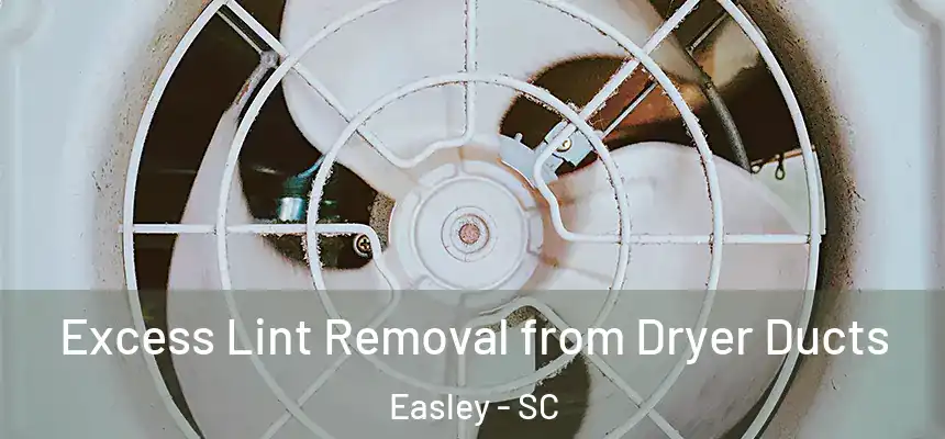 Excess Lint Removal from Dryer Ducts Easley - SC