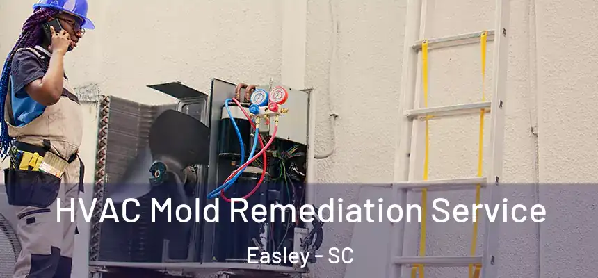  HVAC Mold Remediation Service Easley - SC