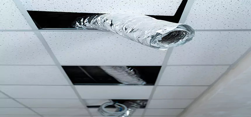 Our Air Duct Pet Hair Removal Services in Easley, SC