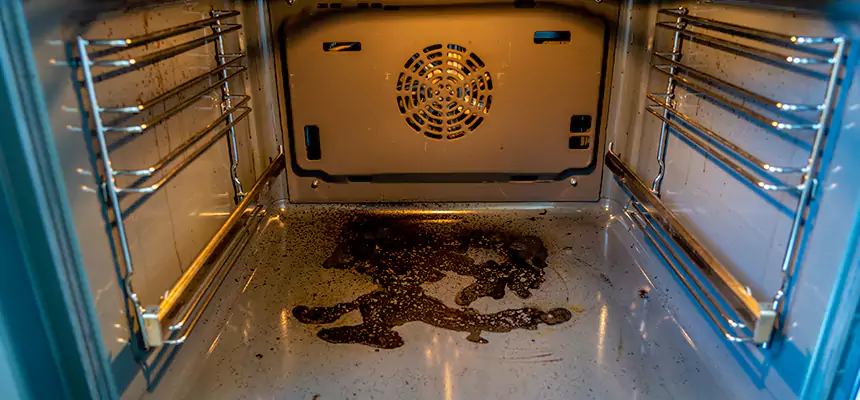 Our Dryer Vent Mold Cleaning Services in Easley, SC