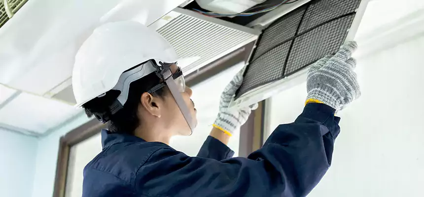 Our Mold & Mildew Removal from Air Ducts Services in Easley, SC