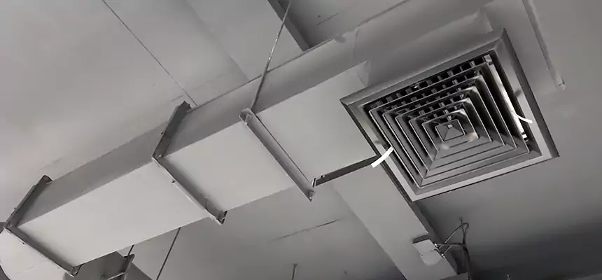 Our Pest Removal From Ducts Services in Easley, SC