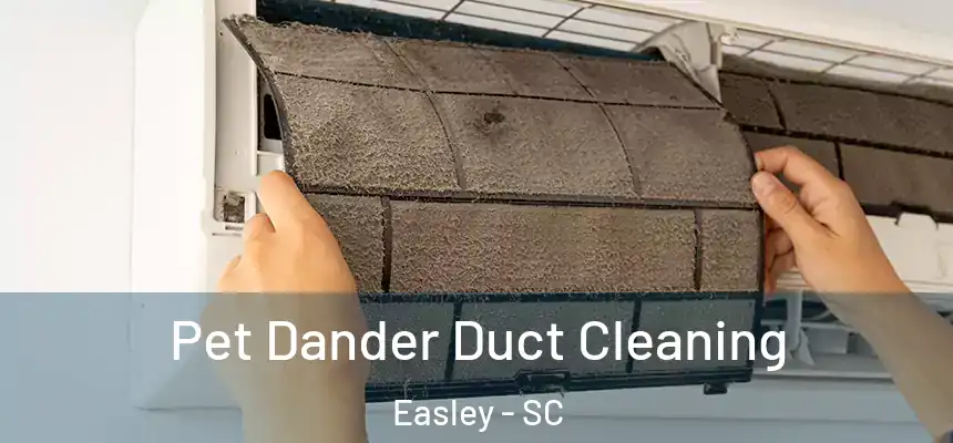  Pet Dander Duct Cleaning Easley - SC