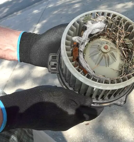 About Air Duct Mice Removal in Easley, SC