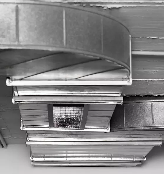 Professional Air Duct Pet Hair Removal in Easley, SC