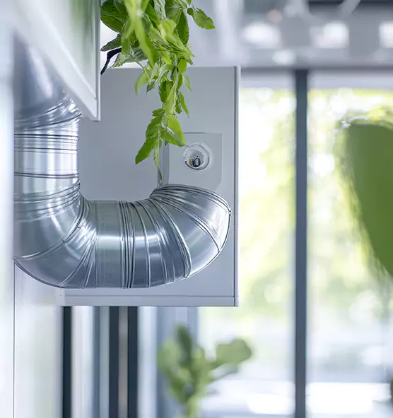 Professional Eco-Safe Dryer Vent Cleaning in Easley, SC