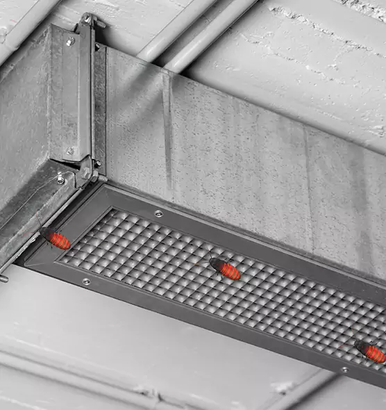 Affordable Insect Removal from Air Ducts in Easley, SC