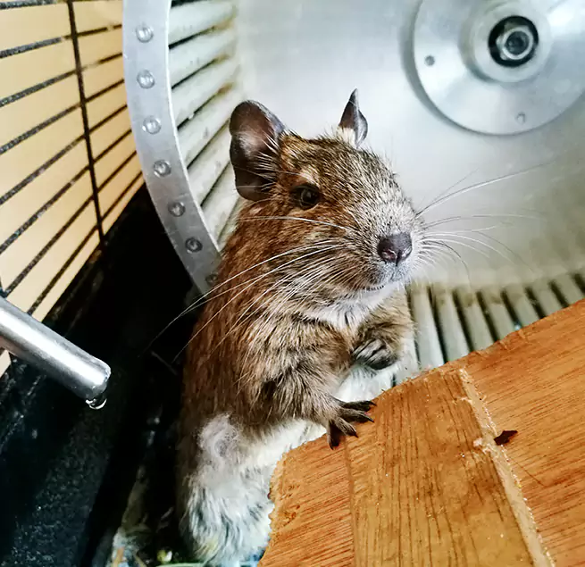 Why Homeowners & Businesses Trust Us Easley, SC