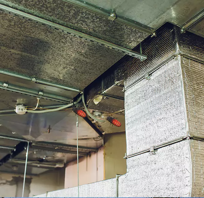 Why Homeowners & Businesses Trust Us Easley, SC?