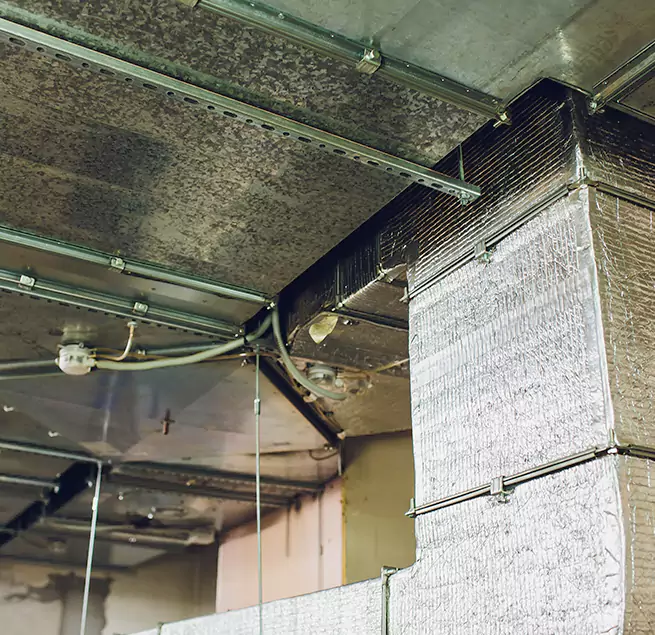 Why Homeowners & Businesses Trust Us in Easley, SC?