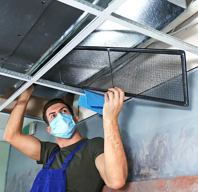 Why Homeowners & Businesses Trust Us in Easley, SC?