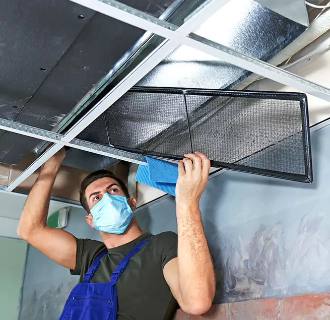 Why Homeowners & Businesses Trust Us in Easley, SC?